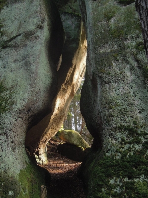 Pískovcové skály na Hradisku