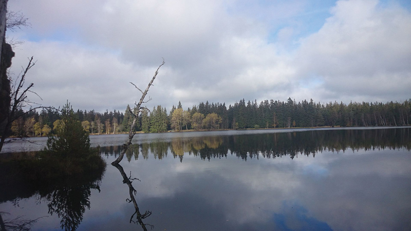 Na projížďce okolo rašelinišť