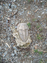 Kolmo krajem Oty Pavla