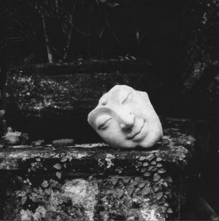 Zahlédání Jiřího Wackermanna