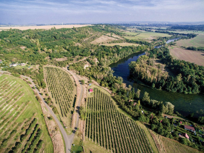 Ohře s vinicemi ve Stranné