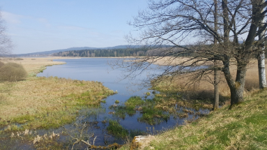 Strašice - Padrťské rybníky