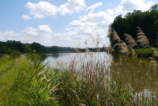 Na kole z Kralup až na svatováclavskou Budeč