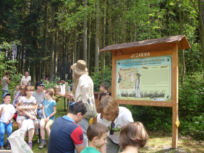 Obrázek č.0