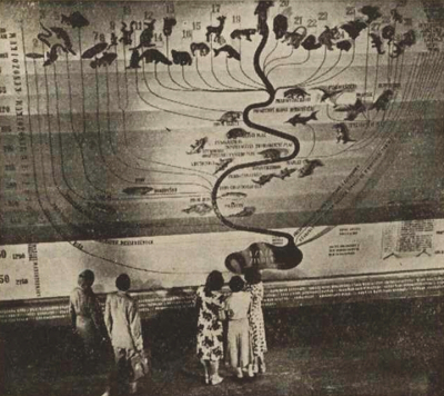 Strom života: vývoj buňky v hlubinách pravěkých oceánů až
k dnešnímu člověku – homo sapiens