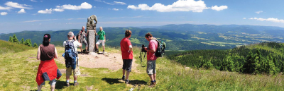 Slon na Králickém Sněžníku