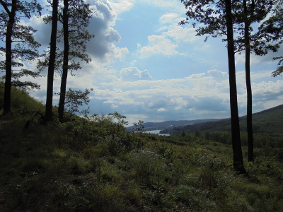 Po cestě je mnoho pěkných výhledů na přehradu