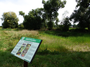 Naučná stezka Tůně u Hajské