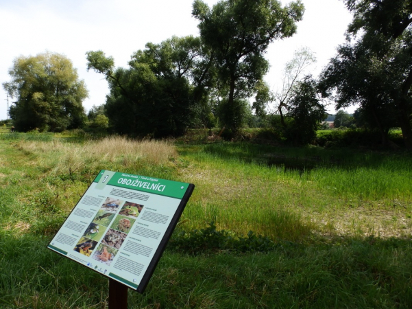 Naučná stezka Tůně u Hajské