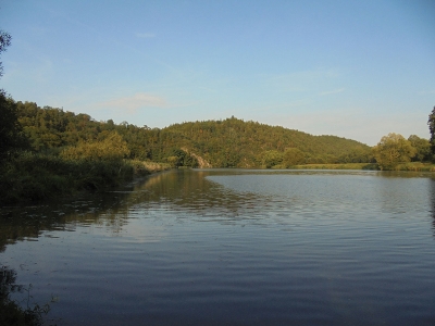 Pohled na Berounku kousek od Zvíkovce; nedaleko je trojmezí okresů Rokycany, Plzeň-sever a Rakovník