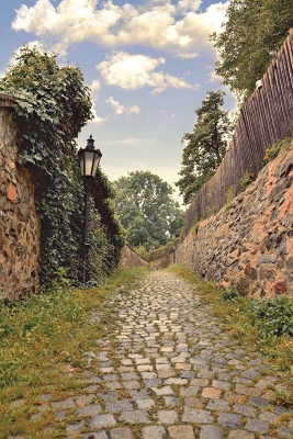 Obrázek č.0