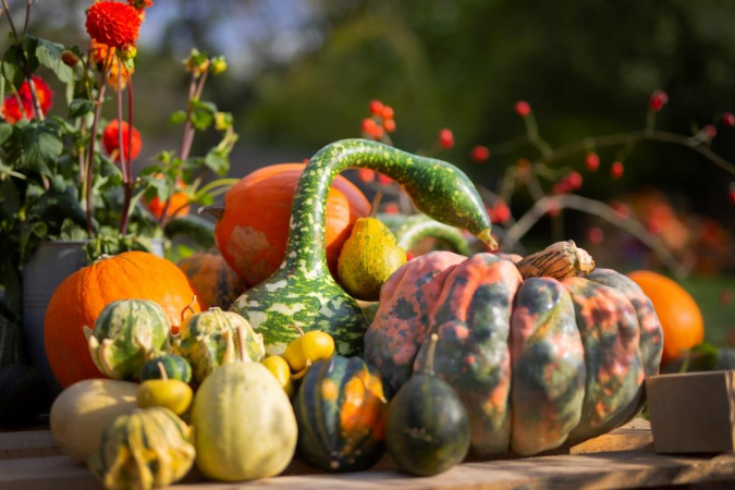 Užijte si víkend s dýňovými hrátkami
