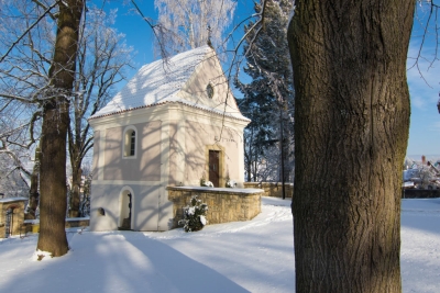 Obrázek č.0