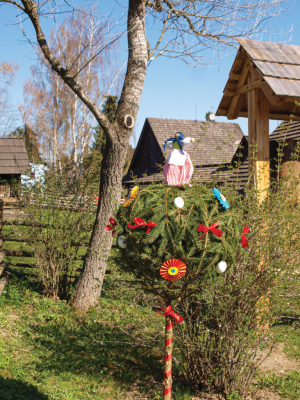 Obrázek č.0