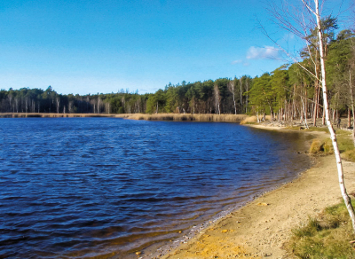 Kamenný rybník ze soustavy Boleveckých rybníků