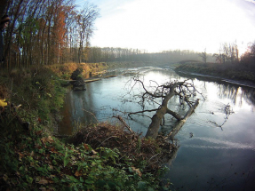 Strážnické Pomoraví