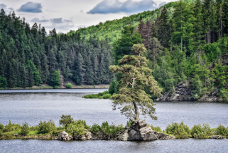 Chudobínská krasavice