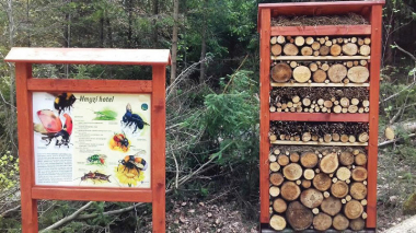 Náchod – Lesoparkem Montace