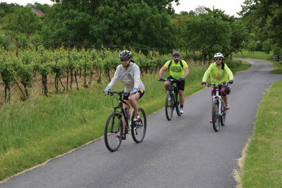 Na kolech u Hotařské búdy ve strážnických vinohradech