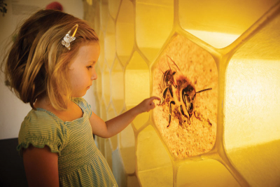 Včelí svět Hulice