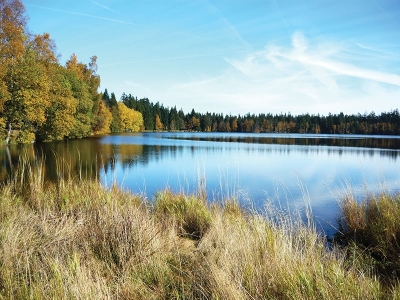 National Natural Preserve Kladská