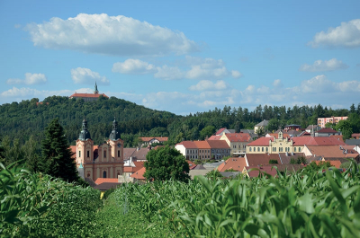 Blick auf die Stadt Nepomuk