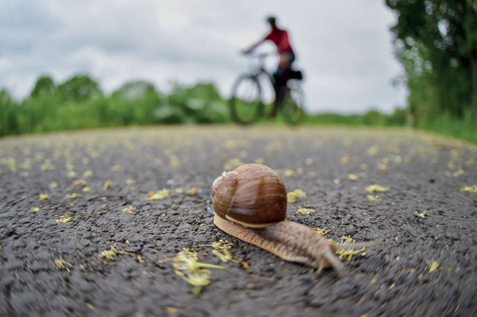 Region Hradecko z dystansem