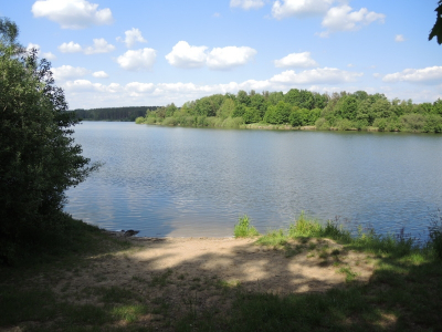 Veselská pískovna
