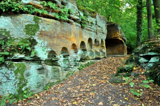 Vinořský park - Satalická bažantnice