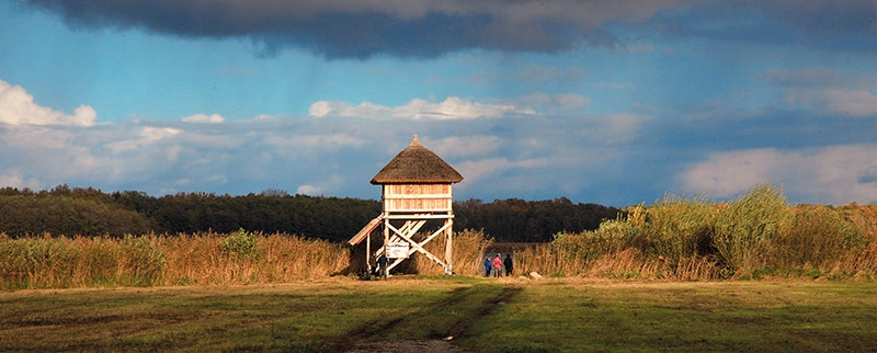 Musílkova ptačí pozorovatelna, Polákův poloostrov, Bohdanečský rybník