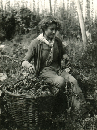 Na chmelové brigádě (60. léta)