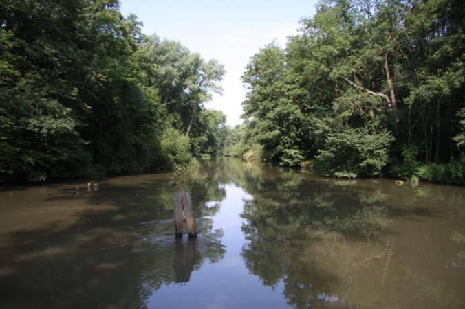 Lužní lesy CHKO Litovelské Pomoraví
