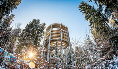 Stezka korunami stromů