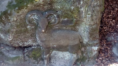 Skalní reliéfy u Kopicova statku