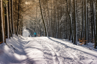 Zima v Lužických horách