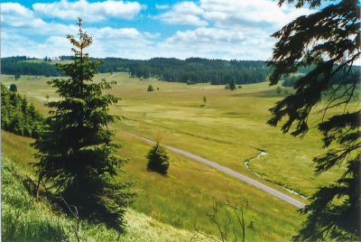 Idylická krajina kolem Jelení v Krušných horách