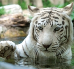 Liberec – Evropské město sportu 2012