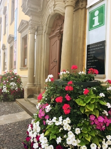 Rozkvetlý vchod do MIC