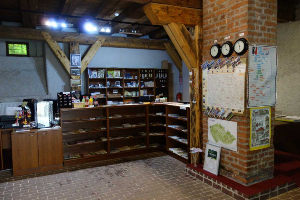 TIC Třebíč - Bazilika
