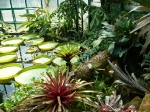 Botanical Garden Liberec