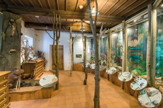 Dům přírody Žďárských vrchů můžete navštívit po celý rok