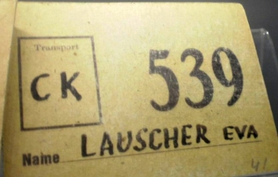 Michaely transportní číslo, 1942