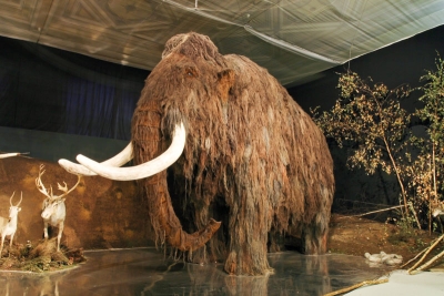Falešný mamut na výstavě 
„Lovci mamutů“ v Národním muzeu v Praze