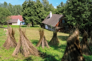 Muzeum v přírodě Vysočina zve na Veselý Kopec