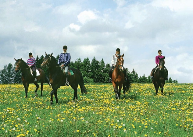 Horse Ride Holiday – Summer in the Saddle