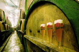 Do Plzně za historií i současností piva