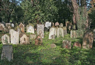 Cmentarz żydowski w Kolínie