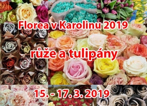 Florea v Karolinu 2019: růže a tulipány