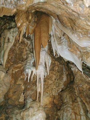 Bozkowskie jaskinie dolomitowe
